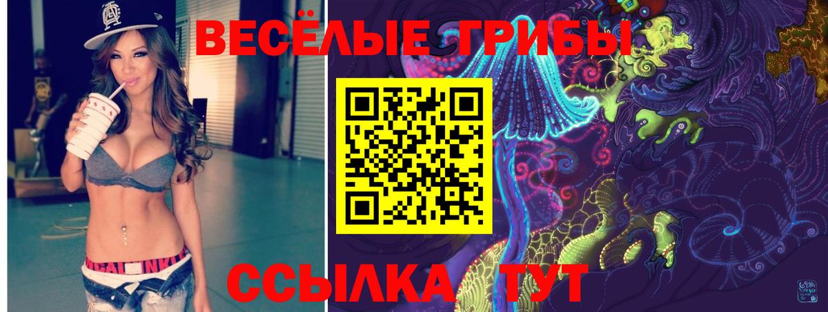 Кисловодск  Галлюциногенные грибы Cubensis  Псилоцибиновые грибы Cubensis  купить наркотик  Вход с VPN 